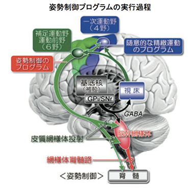 どこへ行っても何をしても良くならない原因とは？